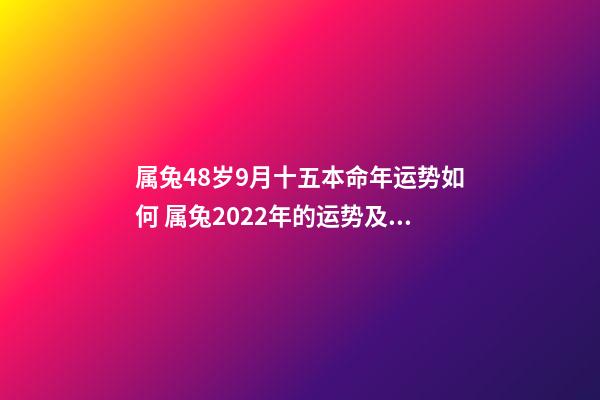 属兔48岁9月十五本命年运势如何 属兔2022年的运势及运程-第1张-观点-玄机派